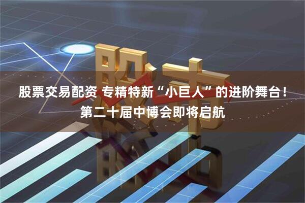 股票交易配资 专精特新“小巨人”的进阶舞台！第二十届中博会即将启航